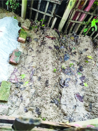 Image of মো: ইউসুফ আলী